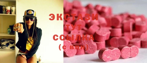 МДПВ Снежинск